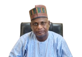 Isa Manu Babban Gida