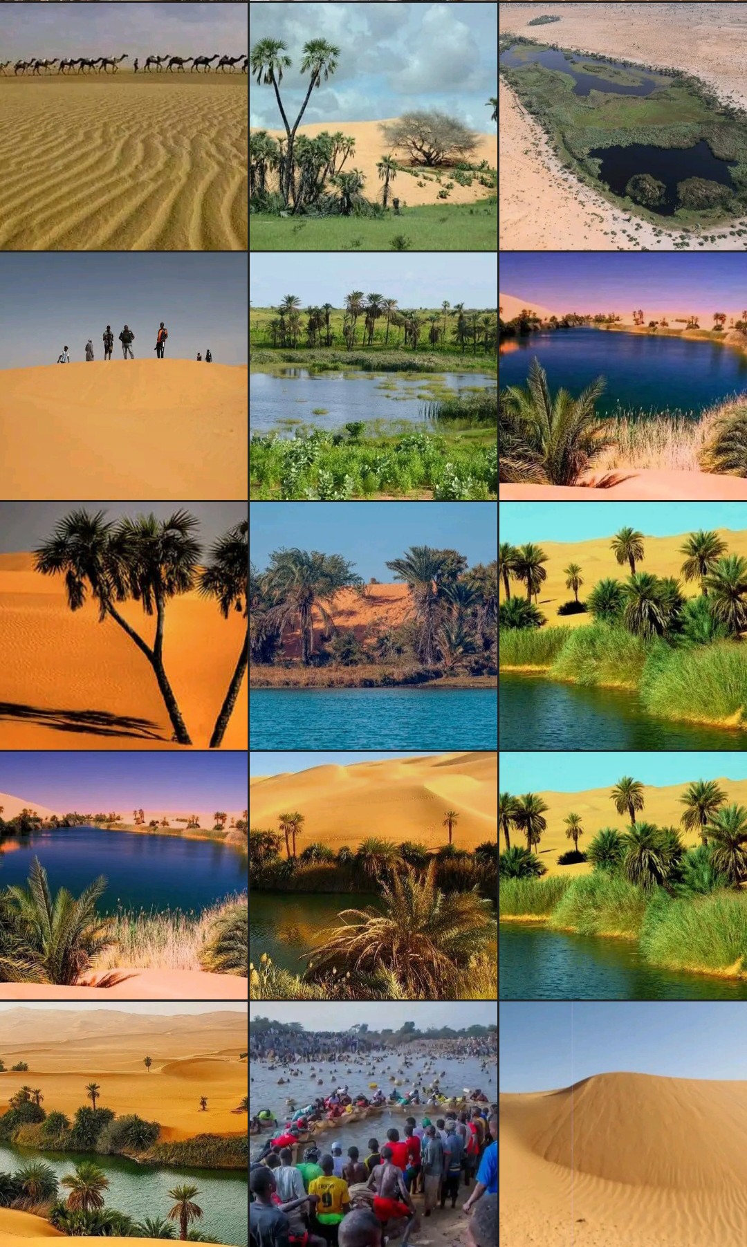 Tulo Tulo sandunes and Oasis of Yunusari and Yusufari